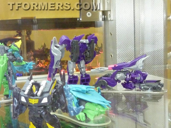 Transformers=botcon 2013 Generatations Prime Paltinum  (378 of 424)